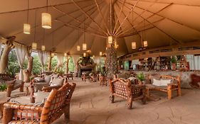 Kibo Safari Camp